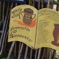 Zobacz w powiększeniu: Nadwieprzańskie spotkanie z historią, tradycją i religią „Chabry z poligonu” 2021 r. (23)